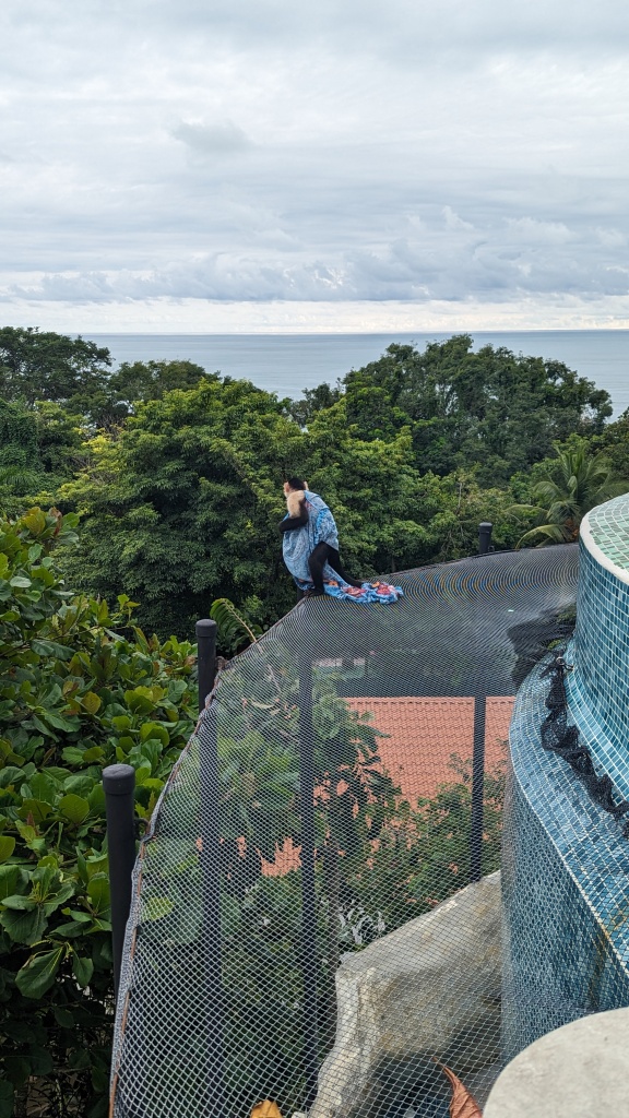 A capuchin monkey looking fashionable in Farrah's pool shirt.
