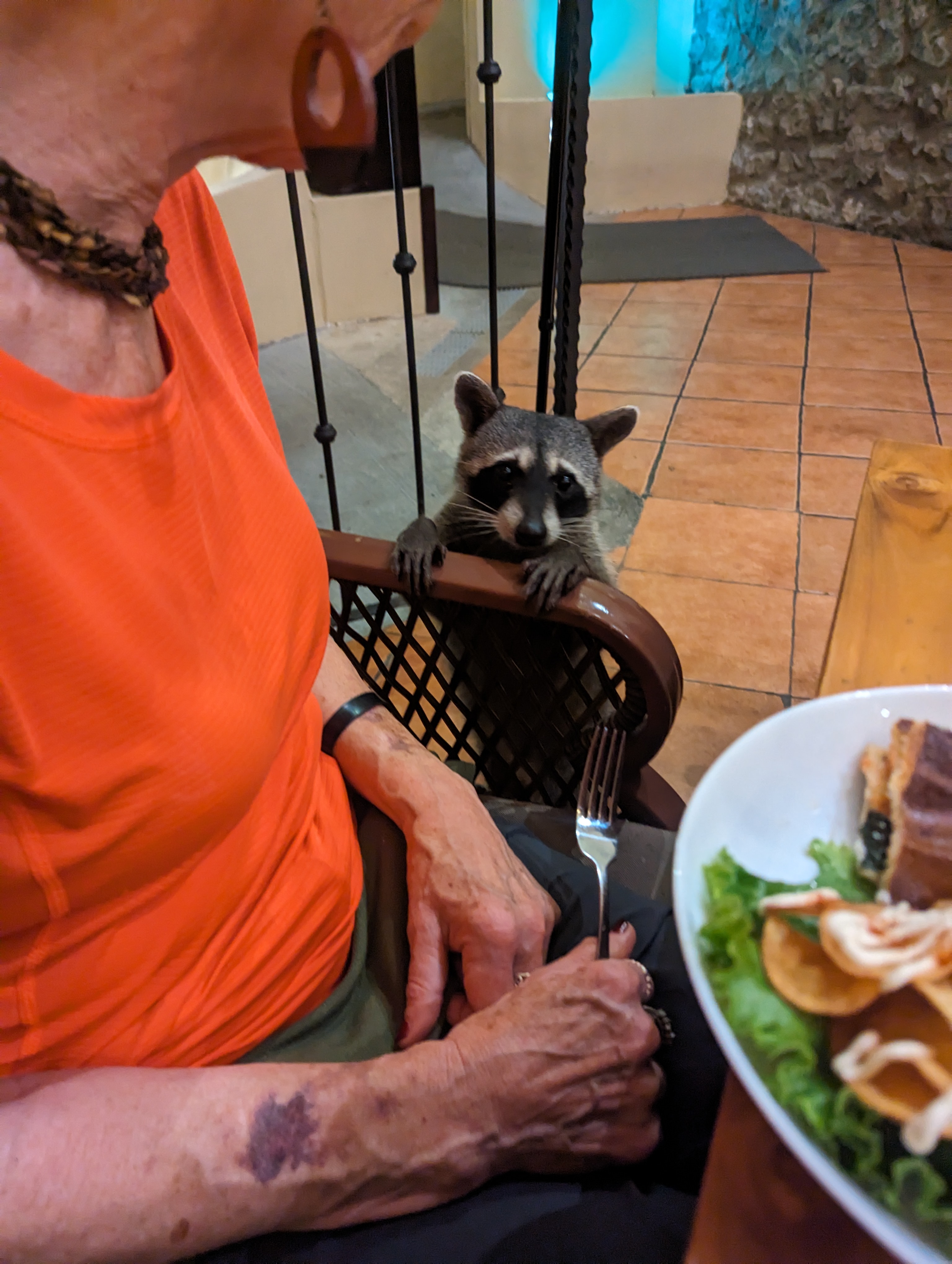 Rocket planing his heist